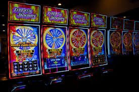 955bet 955bet